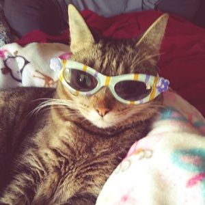 Meet your Posher, Manuela